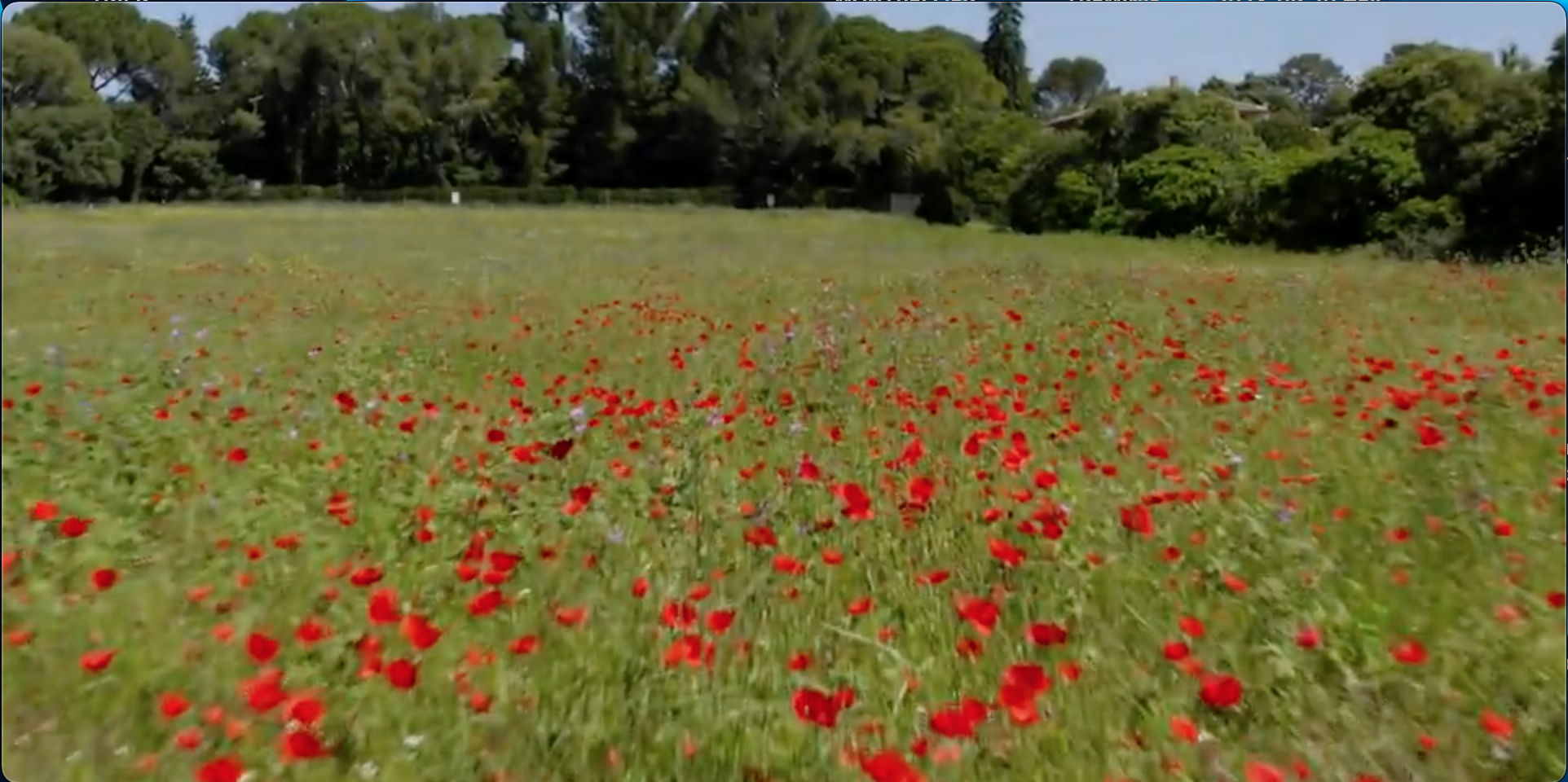 Les enfants ambassadeurs du Musée Fabre à Méric